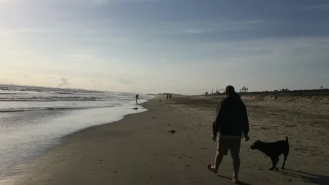 Man Walking Dog on Beach 動画素材 143061778
