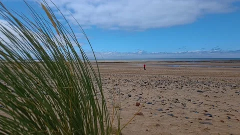 Man walking dog on the beach Stockbeeldmateriaal 202068214