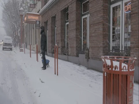 Man Walking Dog Downtown City Snow Storm Canada Stock Footage