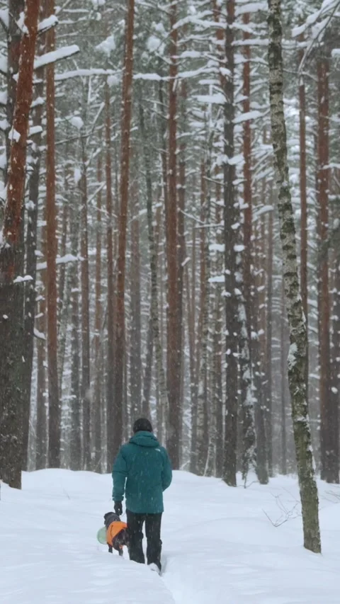 Man Walking Dog During Heavy Snowfall 動画素材 320803696