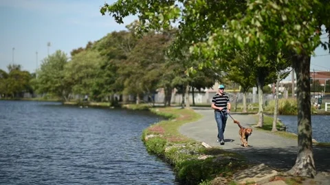 Man walking dog Vídeos de archivo 169406047