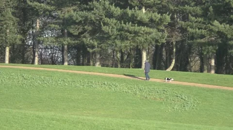 Man walking with dog up hillside path in park Stock Footage 46609210