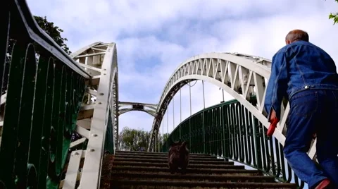 Man walking a dog on a lead up the steps of a bridge Stock Footage 44542107