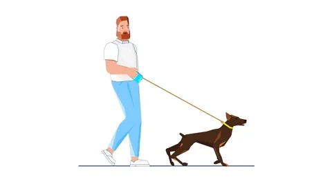 Man Walking Dog on Leash 2D Animation Vidéo 277274481