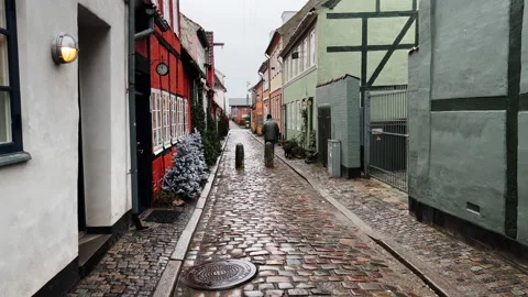 Man walking dog in side rustic street 库存影片 168119393