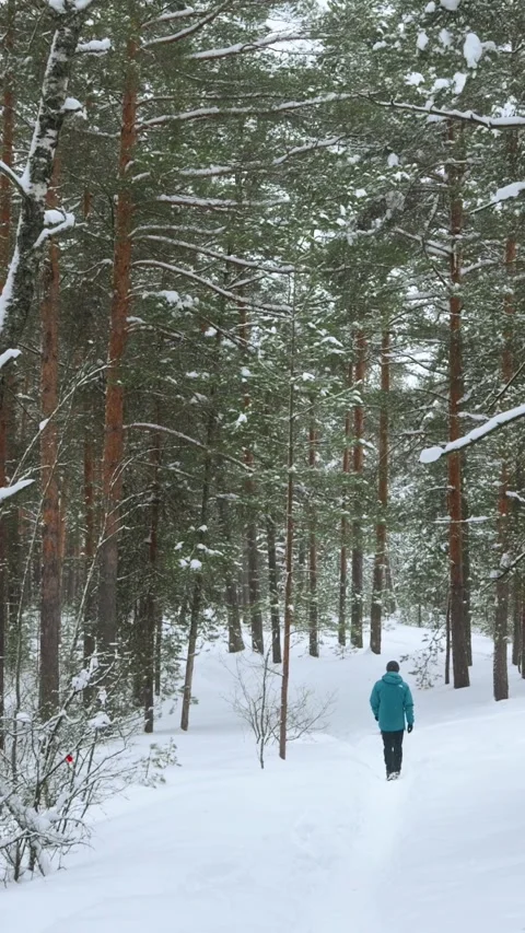 Man Walking Dog in Snowy Pine Forest 動画素材 320803484