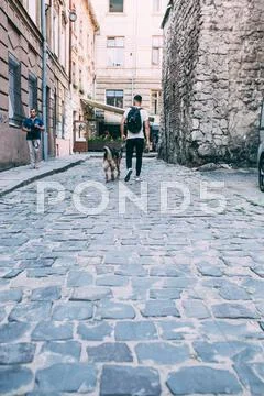 Man walking with a dog on the street Stock Photos