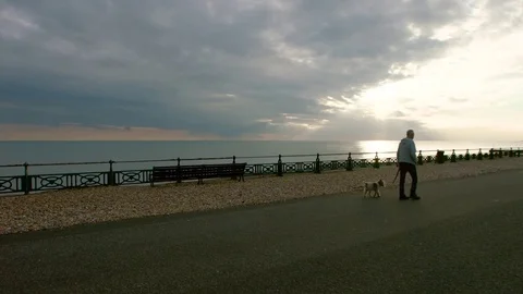 Man walking dog at sunset at Brighton Beach Stockbeeldmateriaal 84483501