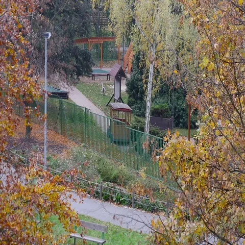 Man Walking Dog Through Park Stock Footage 69448438