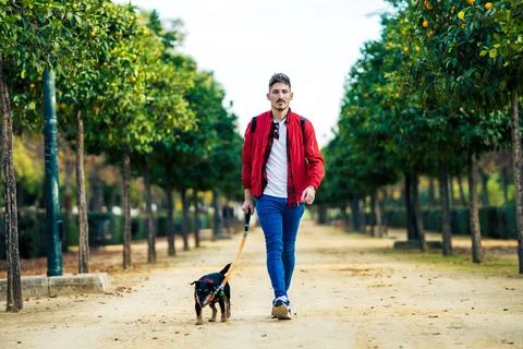 Man walking the dog through a sandy path of a park Stock Photos