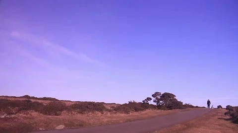 Man walking dog towards camera Stock Footage 47779836