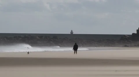 Man walking dog on windy beach in the summer time bad weather Stock Footage 39644501
