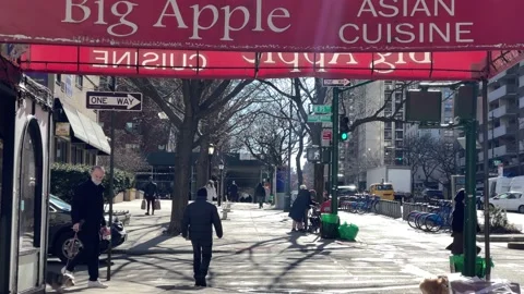 Man walking dog winter Big Apple Asian Cuisine restaurant Upper West Side NYC Stock Footage 149335486