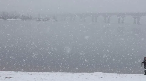 Man walking with a dog in winter Video stock 57708905