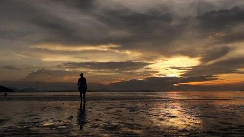 Man walking with dogs on the beach at sunset 스톡 동영상 88286352