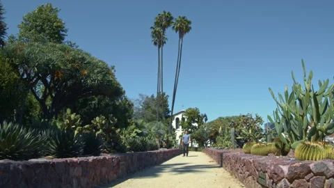 Man Walking down Desert Cactus Garden Walkway Video stock 131207105