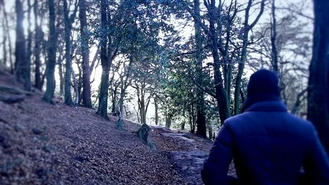 Man walking down a forest stairway Stock Footage 77863330