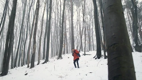Man Walking Down from Hill in Forest 库存影片 103770877