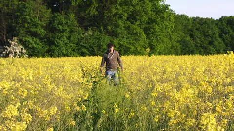 Man is walking down the meadow among wildflowers, yellow flowers in countryside. Stock Footage 109260771