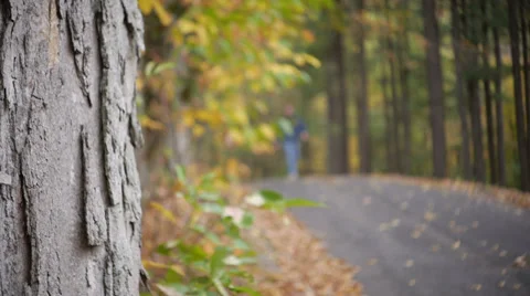 Man walking down a path in Autumn season Stock Footage 32165898