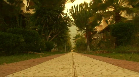 Man walking down path Stock Footage 285973