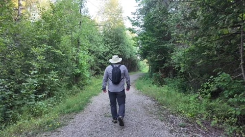 Man walking down a path in the forest Stock Footage 314617669