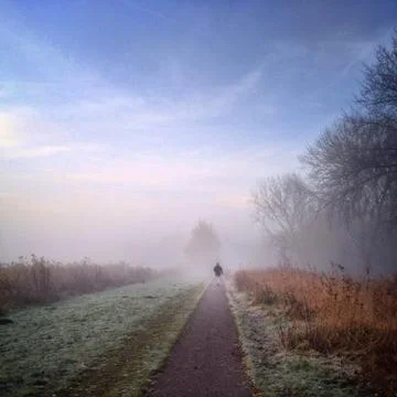 Man walking down path on misty morning Stock Photos