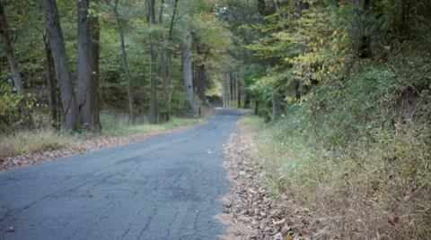 Man walking down road during foliage season Stock Footage 32165804