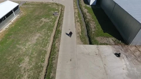 A man walking down a sidewalk Stock-Footage 130829784