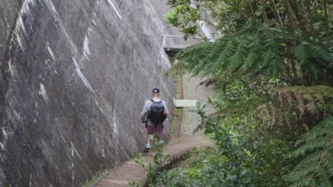 Man walking down stairway at Waitakere dam, Auckland, New Zealand Video stock 287196971