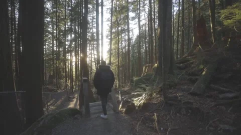 Man Walking down steps in forest Video stock 154327374