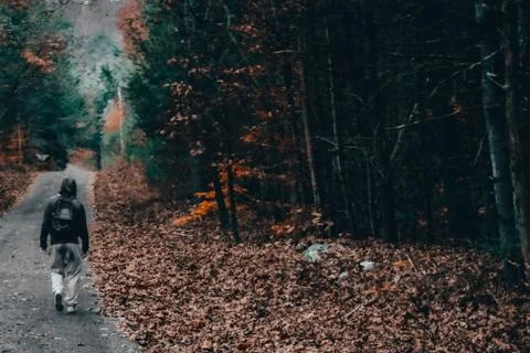 A Man Walking Down a Stone Path in an Autumn Forest Stock Photos