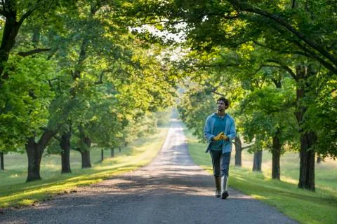 A man walking down a tree lined path. Stock Photos