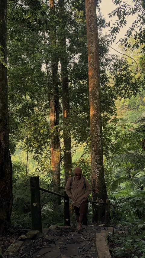 Man Walking Downhill on Forest Path, Lush Green Jungle, Vertical Full Body Shot Stock Footage 321104843