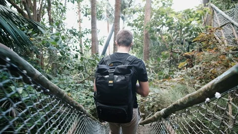 Man walking downstairs in forest Video stock 128159473