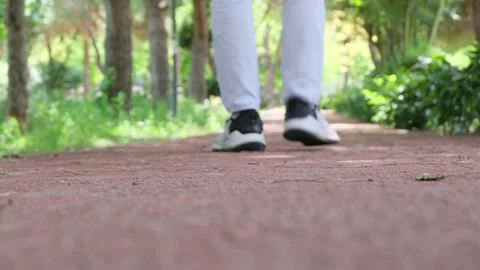 A man is walking on a earth hiking walking trail path close up trainers Nature Stock Footage 162628971