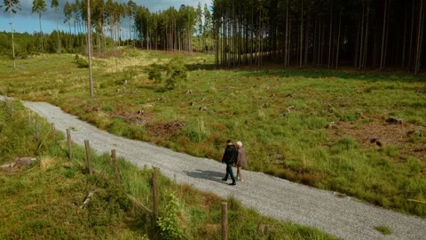 Man walking with elderly mother along gravel forest path in sunny weather. Woman Stock Footage 319990855