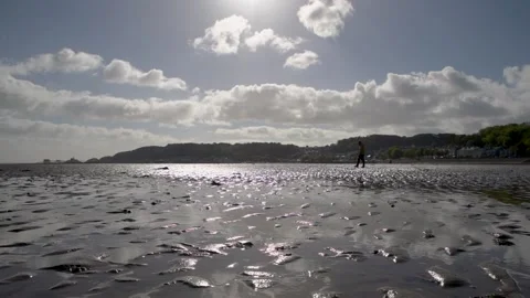 Man walking in empty beach Stock Footage 218450970