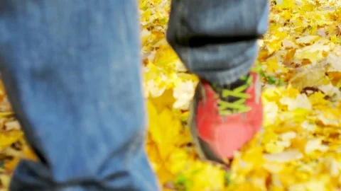 Man walking on a fallen leaves. Stock Footage 83238285