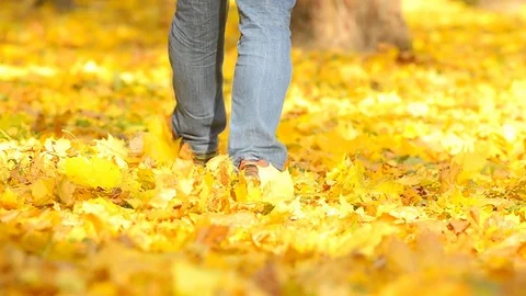 Man walking on a fallen leaves. Stock Footage 83795692