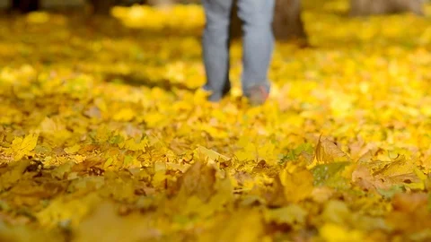 Man walking on a fallen leaves. Stock Footage 84058740