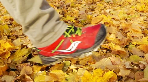 Man walking on the fallen yellow leaves. Stock Footage 61900015