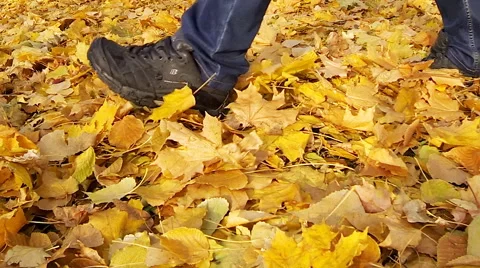Man walking on the fallen yellow leaves. Stock Footage 61910079