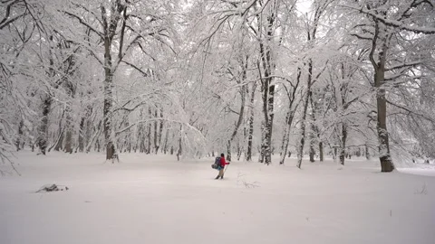 Man Walking Far in Snowy Winter Landscape 動画素材 315877688