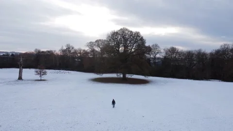 Man walking in field covered of snow Stock Footage 226746183