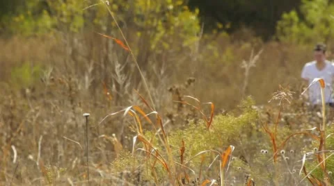 Man Walking in Field Video stock 12531154