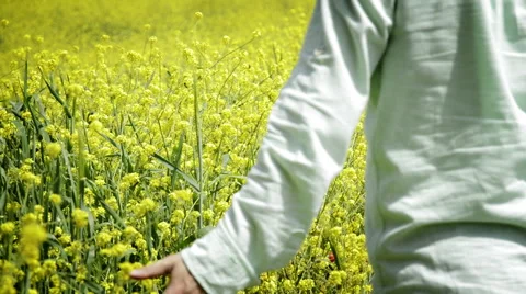 Man Walking in the Field Stock Footage 47923851