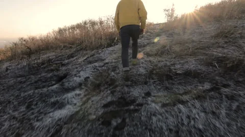 Man walking in a field Stock Footage 56060969