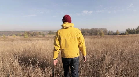 Man walking in a field Vídeo Stock 56062029
