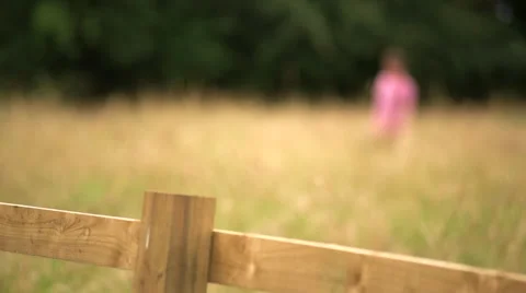 Man Walking in Field Stock Footage 65247151